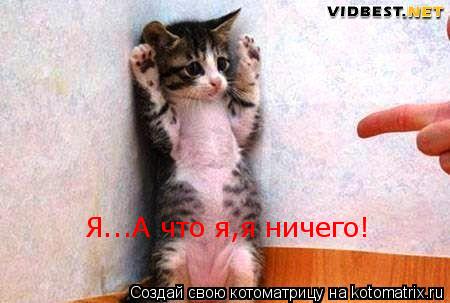 Я...А что я,я ничего!... Котоматрица: Я...А что я,я ничего!