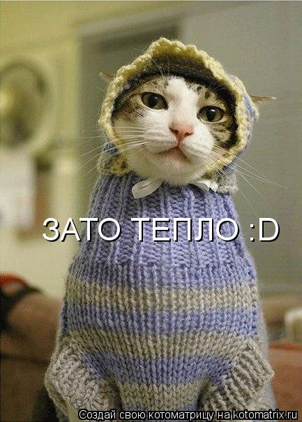 ЗАТО ТЕПЛО :D... Котоматрица: ЗАТО ТЕПЛО :D