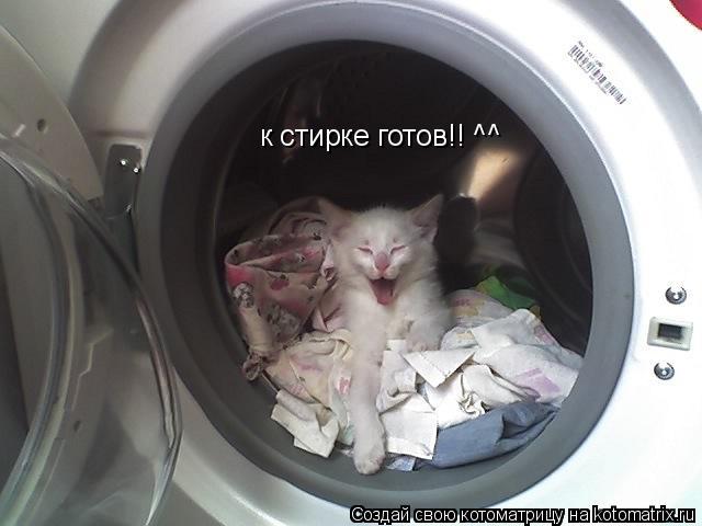к стирке готов!! ^^... Котоматрица: к стирке готов!! ^^