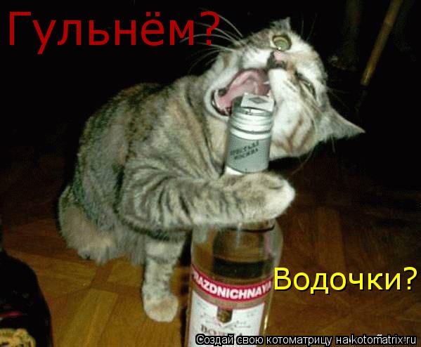 Гульнём? Водочки?... Котоматрица: Гульнём? Водочки?
