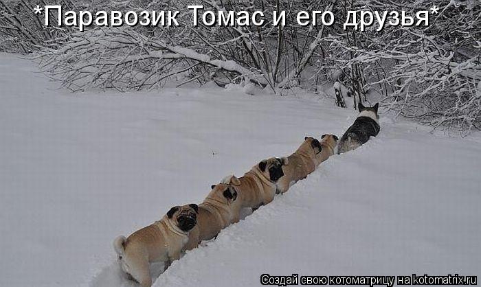 *Паравозик Томас и его друзья*... Котоматрица: *Паравозик Томас и его друзья*