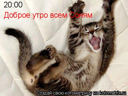 20:00 Доброе утро всем Соням... Котоматрица: 20:00 Доброе утро всем Соням