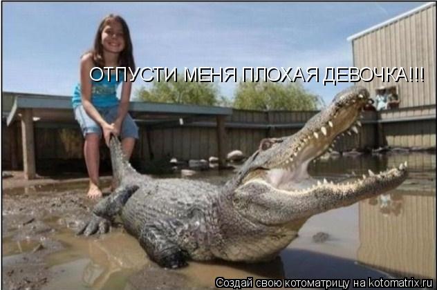 ОТПУСТИ МЕНЯ ПЛОХАЯ ДЕВОЧКА!!!... Котоматрица: ОТПУСТИ МЕНЯ ПЛОХАЯ ДЕВОЧКА!!!