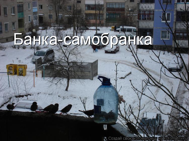 Банка-самобранка... Котоматрица: Банка-самобранка