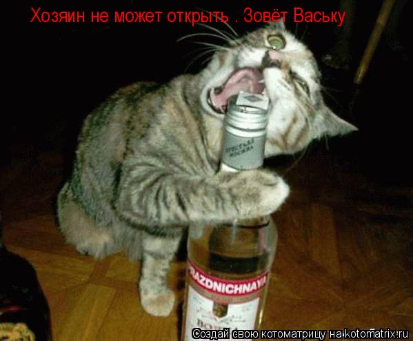 Котоматрица: Эх хозяин открыть не может . Приходится Ваське трудится Эх хозяин открыть не может . Приходится Ваське трудится Эх хозяин открыть не может . 
