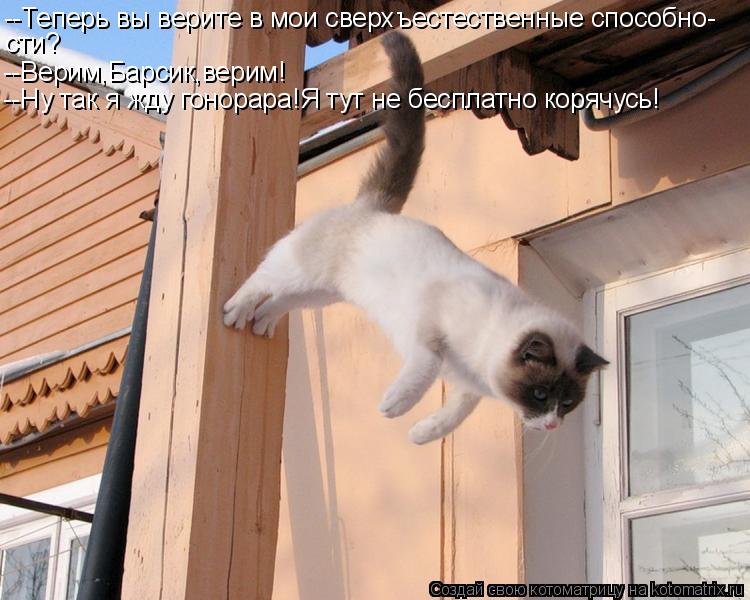 --Теперь вы верите в мои сверхъестественные способно- сти? --Верим,Барсик,верим! --Ну так я жду гонор... Котоматрица: --Теперь вы верите в мои сверхъестественные способно- сти? --Верим,Барсик,верим! --Ну так я жду гонорара!Я тут не бесплатно корячусь!