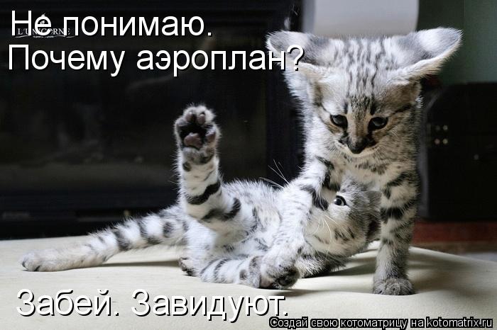 Не понимаю. Почему аэроплан? Забей. Завидуют.... Котоматрица: Не понимаю. Почему аэроплан? Забей. Завидуют.