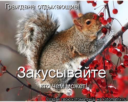 Котоматрица: Граждане отдыхающие! Закусывайте кто чем может!
