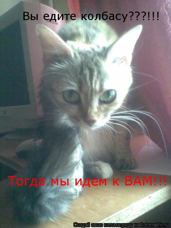 Котоматрица: Вы едите колбасу???!!! Тогда мы идем к ВАМ!!!