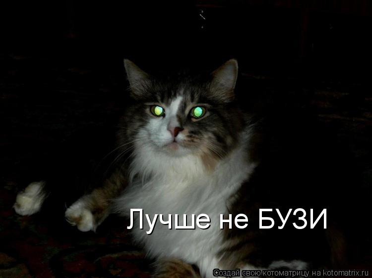 Лучше не БУЗИ... Котоматрица: Лучше не БУЗИ