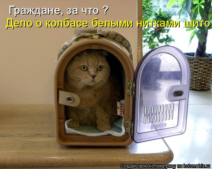 Котоматрица: Граждане, за что ? Дело о колбасе белыми нитками шито.