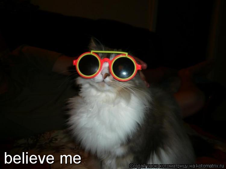 Котоматрица: believe me