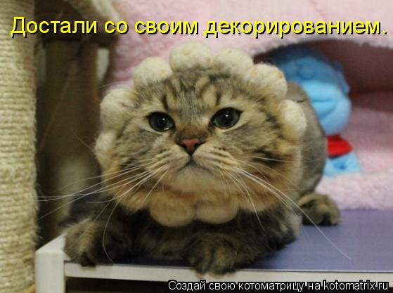 Котоматрица: Достали со своим декорированием.