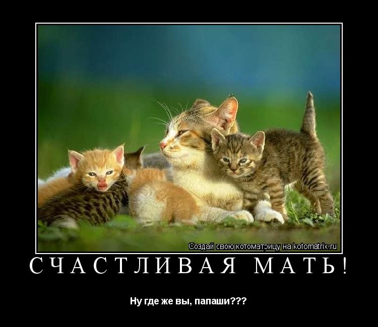 Котоматрица: Счастливая мать! Ну где же вы, папаши???