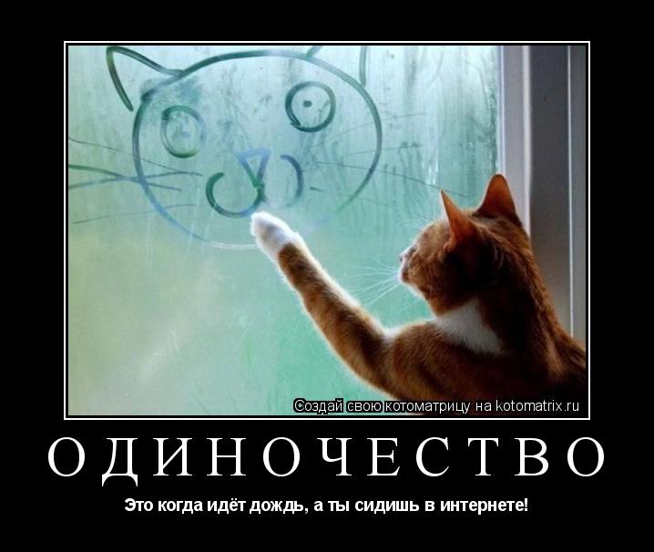 Котоматрица: Одиночество Это когда идёт дождь, а ты сидишь в интернете!