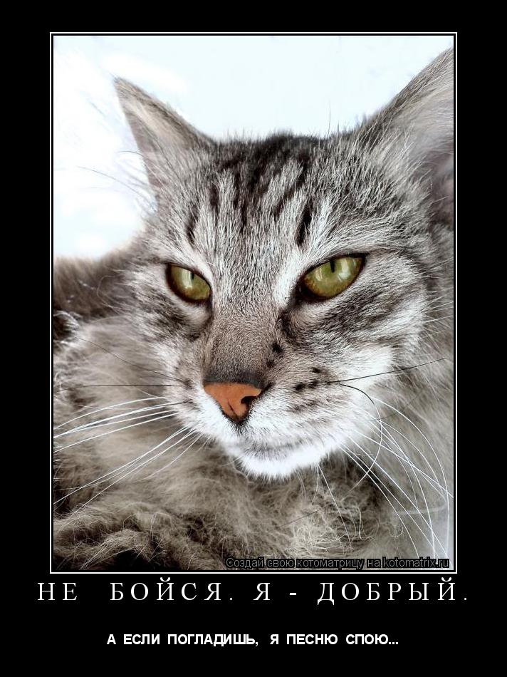 Котоматрица: НЕ  БОЙСЯ. Я - ДОБРЫЙ. А  ЕСЛИ  ПОГЛАДИШЬ,   Я  ПЕСНЮ  СПОЮ...