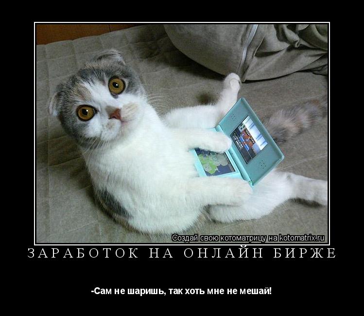 Котоматрица: Заработок на онлайн бирже -Сам не шаришь, так хоть мне не мешай!