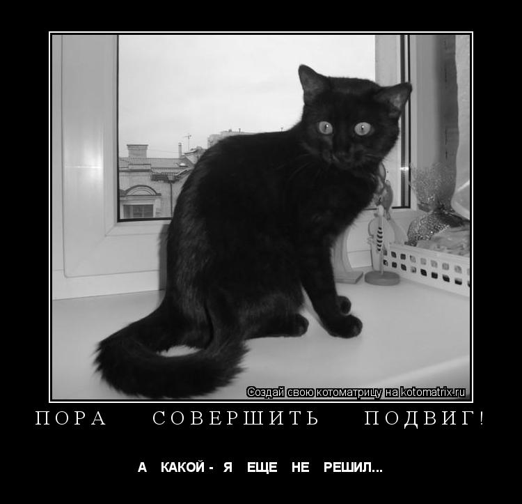 Котоматрица: ПОРА    СОВЕРШИТЬ    ПОДВИГ! А    КАКОЙ -   Я    ЕЩЕ    НЕ    РЕШИЛ...