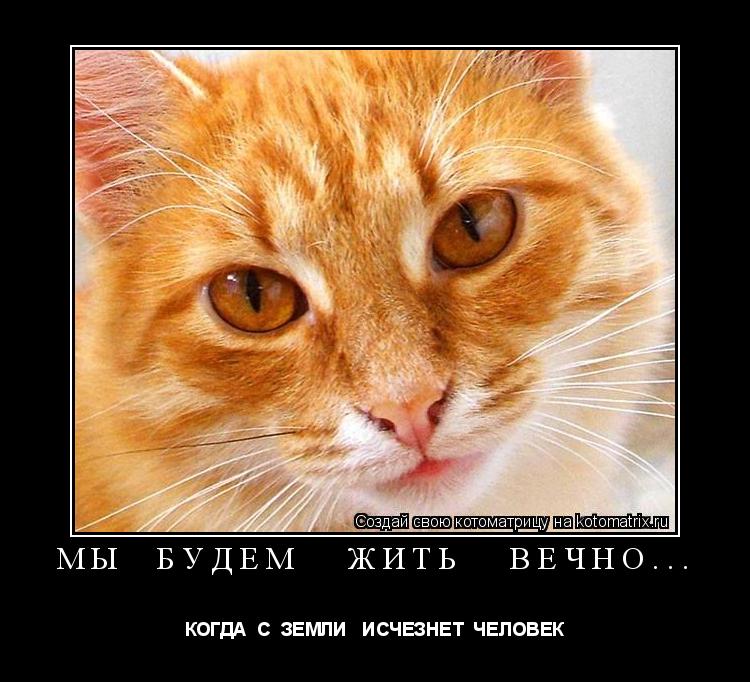 Котоматрица: МЫ  БУДЕМ   ЖИТЬ   ВЕЧНО... КОГДА  С  ЗЕМЛИ   ИСЧЕЗНЕТ  ЧЕЛОВЕК