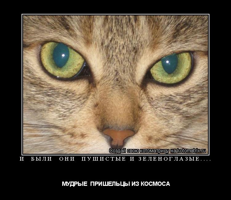 Котоматрица: И  БЫЛИ  ОНИ  ПУШИСТЫЕ И ЗЕЛЕНОГЛАЗЫЕ....  МУДРЫЕ  ПРИШЕЛЬЦЫ ИЗ КОСМОСА
