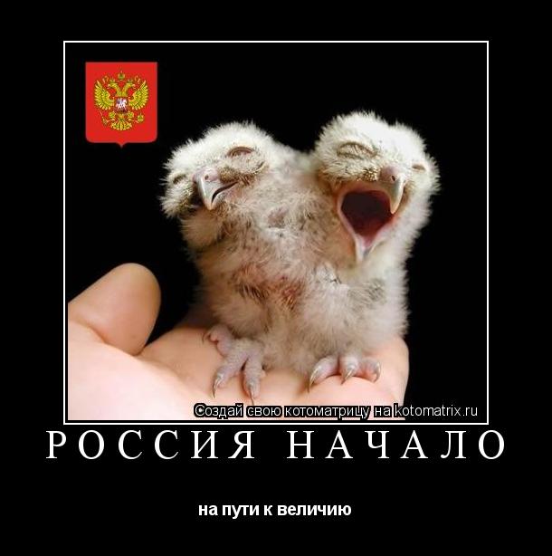 Котоматрица: Россия начало на пути к величию