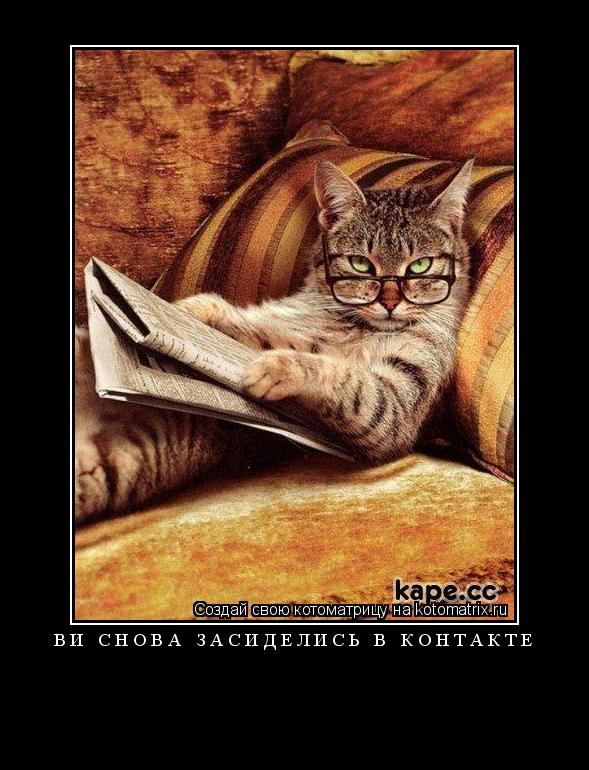 Котоматрица: Ви снова засиделись в контакте 