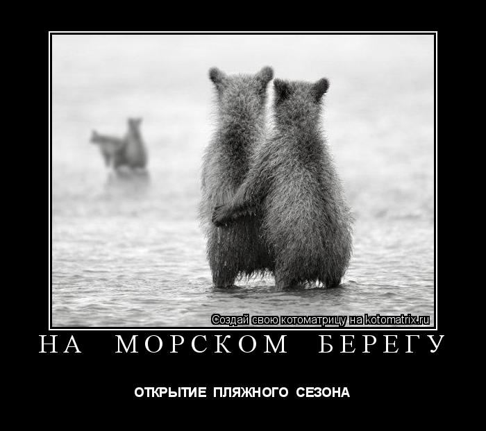 Котоматрица: НА  МОРСКОМ  БЕРЕГУ ОТКРЫТИЕ  ПЛЯЖНОГО  СЕЗОНА