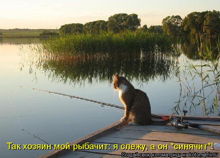 Котоматрица: Так хозяин мой рыбачит: я слежу, а он *синячит*!