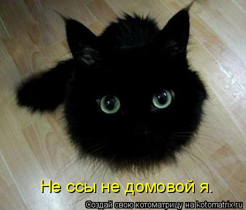 Котоматрица: Не ссы не домовой я.