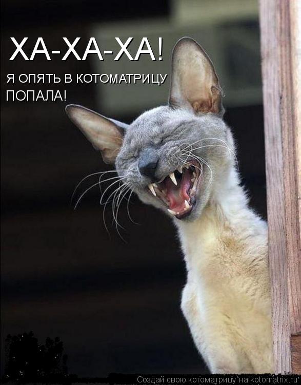 Я ОПЯТЬ В КОТОМАТРИЦУ ХА-ХА-ХА! ПОПАЛА!... Котоматрица: Я ОПЯТЬ В КОТОМАТРИЦУ ХА-ХА-ХА! ПОПАЛА!