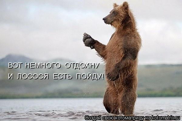 Котоматрица: ВОТ НЕМНОГО  ОТДОХНУ И  ЛОСОСЯ  ЕСТЬ  ПОЙДУ!