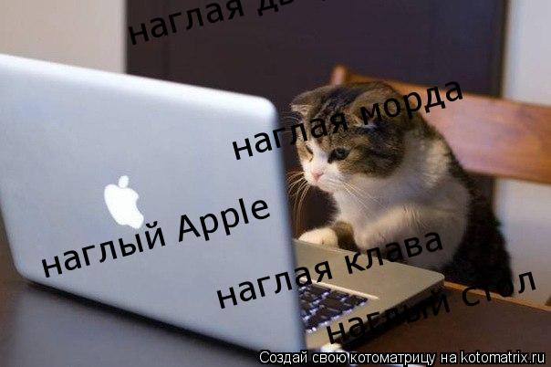 Котоматрица: наглая морда наглый Apple наглая клава наглая дверь наглый стол