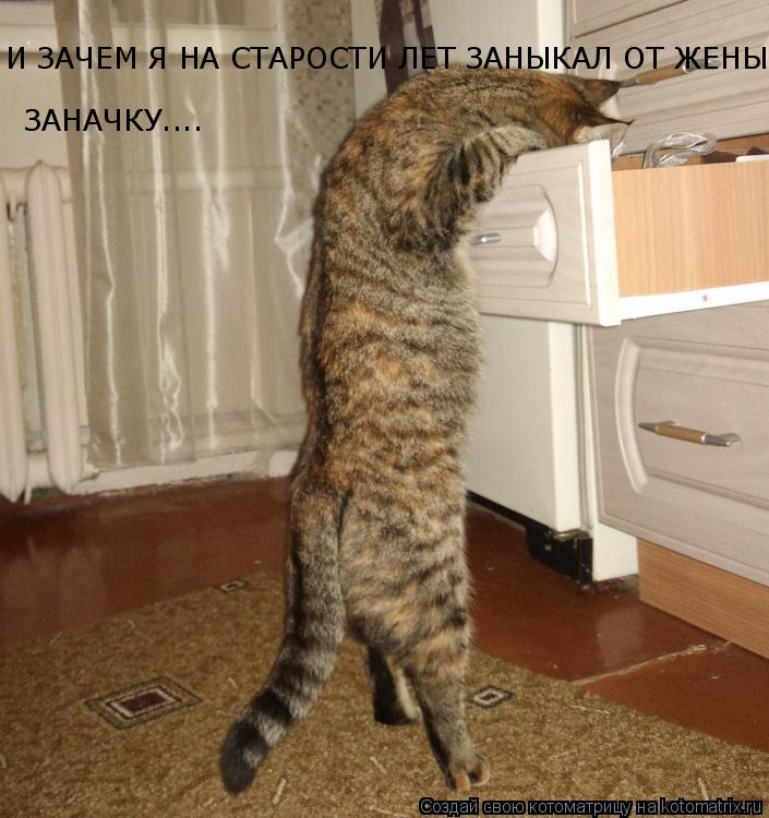 Котоматрица: И ЗАЧЕМ Я НА СТАРОСТИ ЛЕТ ЗАНЫКАЛ ОТ ЖЕНЫ ЗАНАЧКУ....  ЗАНАЧКУ....