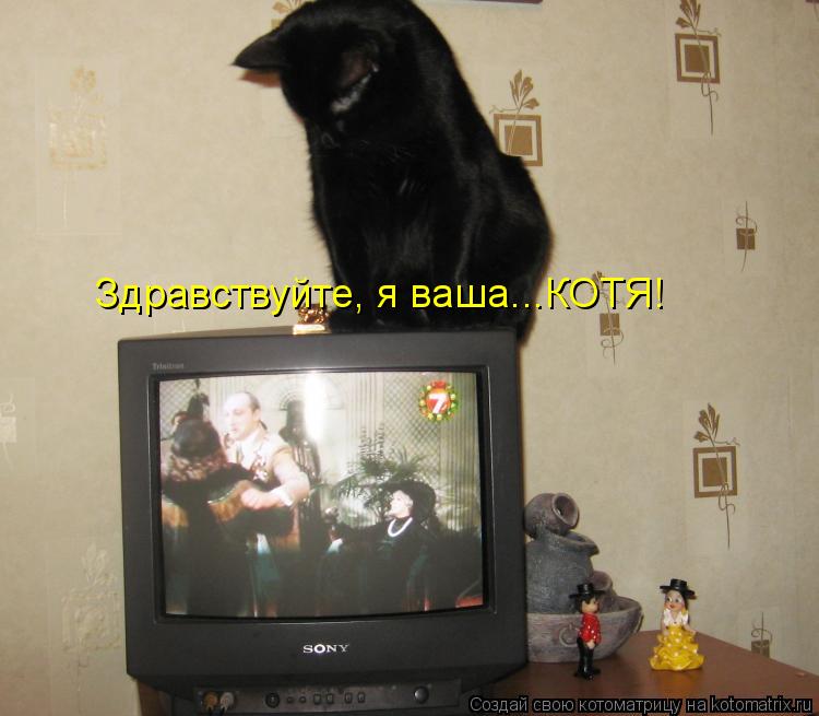 Котоматрица: Здравствуйте, я ваша...КОТЯ!