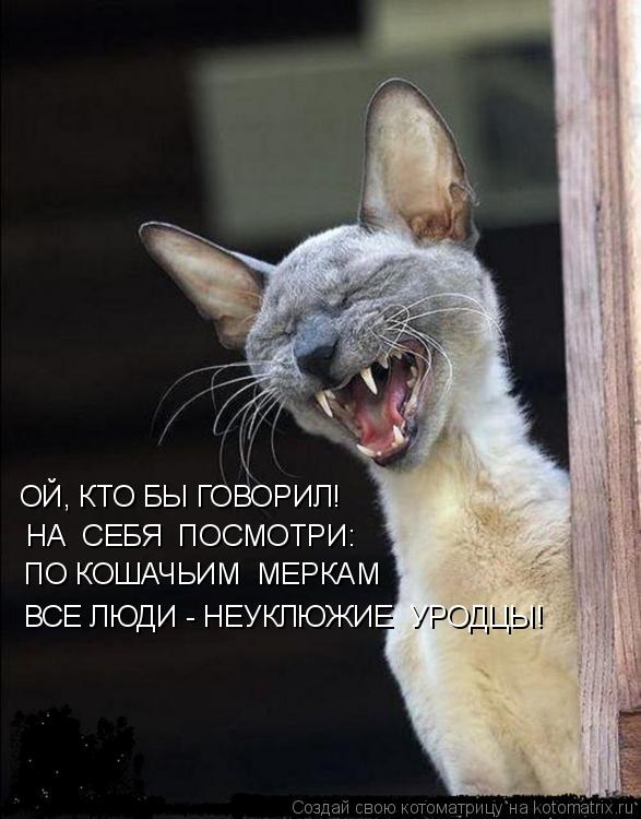 Котоматрица: ОЙ, КТО БЫ ГОВОРИЛ!  НА  СЕБЯ  ПОСМОТРИ: ПО КОШАЧЬИМ  МЕРКАМ ВСЕ ЛЮДИ - НЕУКЛЮЖИЕ  УРОДЦЫ!