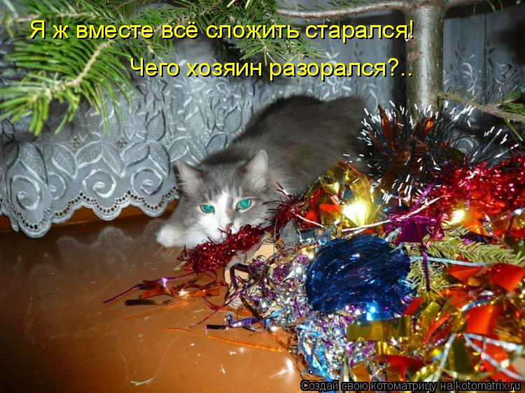 Котоматрица: Я ж вместе всё сложить старался! Чего хозяин разорался?..
