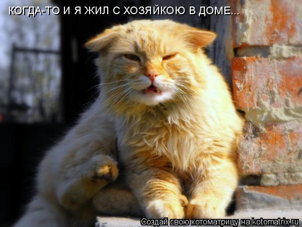 Котоматрица: КОГДА-ТО И Я ЖИЛ С ХОЗЯЙКОЮ В ДОМЕ...