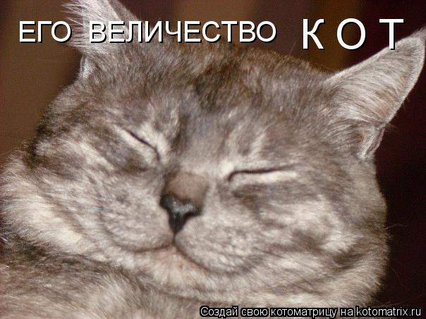 Котоматрица: ЕГО  ВЕЛИЧЕСТВО К О Т