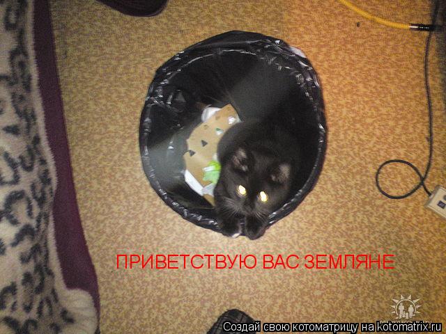 Котоматрица: ПРИВЕТСТВУЮ ВАС ЗЕМЛЯНЕ