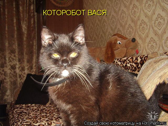 Котоматрица: КОТОРОБОТ ВАСЯ