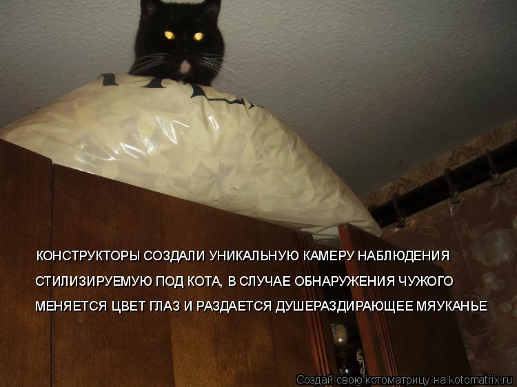 Котоматрица: КОНСТРУКТОРЫ СОЗДАЛИ УНИКАЛЬНУЮ КАМЕРУ НАБЛЮДЕНИЯ СТИЛИЗИРУЕМУЮ ПОД КОТА, В СЛУЧАЕ ОБНАРУЖЕНИЯ ЧУЖОГО МЕНЯЕТСЯ ЦВЕТ ГЛАЗ И РАЗДАЕТСЯ ДУШ