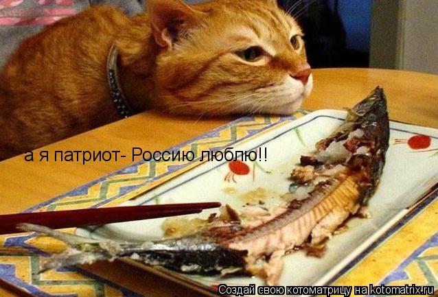 Котоматрица: а я патриот- Россию люблю!!