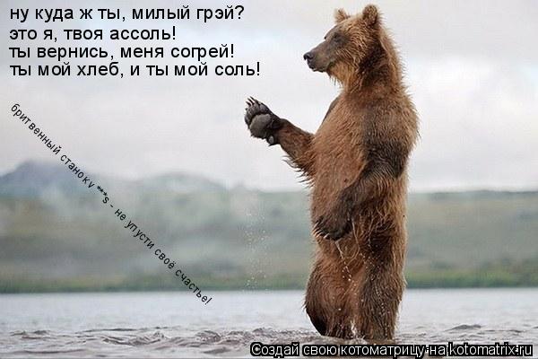 Котоматрица: ну куда ж ты, милый грэй?  это я, твоя ассоль!  ты вернись, меня согрей! ты мой хлеб, и ты мой соль! бритвенный станок v***s - не упусти своё счастье!