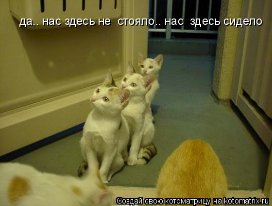 Котоматрица: да.. нас здесь не  стояло.. нас  здесь сидело