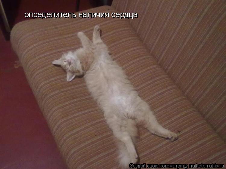 Котоматрица: определитель наличия сердца