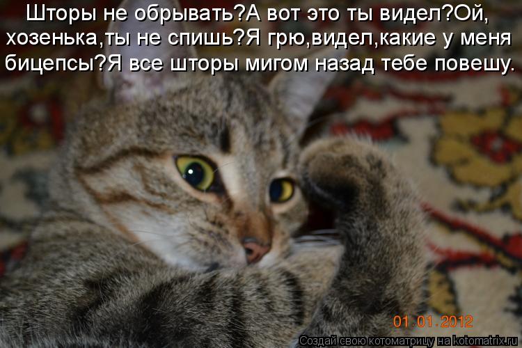 Шторы не обрывать?А вот это ты видел?Ой, хозенька,ты не спишь?Я грю,видел,какие у меня бицепсы?Я все... Котоматрица: Шторы не обрывать?А вот это ты видел?Ой, хозенька,ты не спишь?Я грю,видел,какие у меня бицепсы?Я все шторы мигом назад тебе повешу.