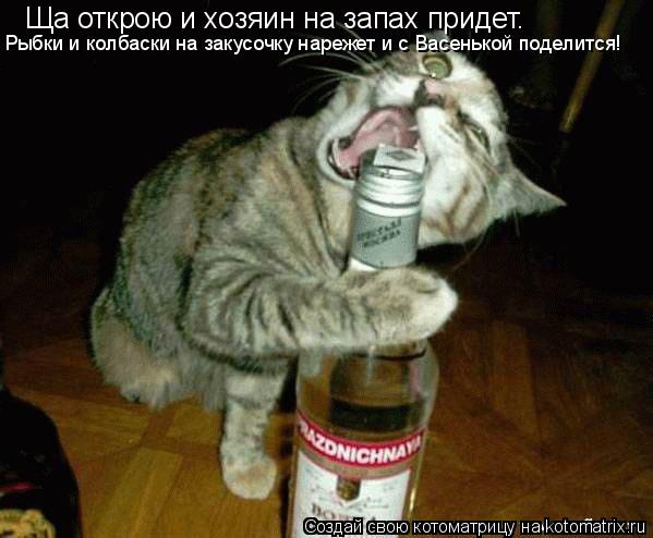 Котоматрица: Ща открою и хозяин на запах придет. Рыбки и колбаски на закусочку нарежет и с Васенькой поделится!