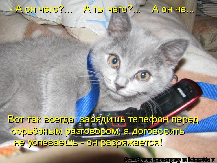 Котоматрица: - А он чего?...    А ты чего?...    А он че... не успеваешь - он разряжается! серьёзным разговором, а договорить Вот так всегда: зарядишь телефон пере