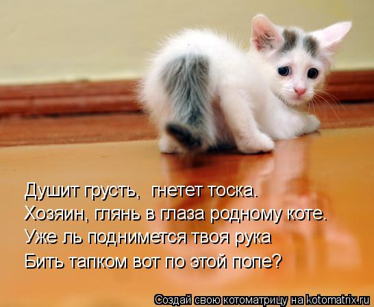 Душит грусть, гнетет тоска. Хозяин, глянь в глаза родному коте. Уже ль поднимется твоя рука Бить тап... Котоматрица: Душит грусть, гнетет тоска. Хозяин, глянь в глаза родному коте. Уже ль поднимется твоя рука Бить тапком вот по этой попе?