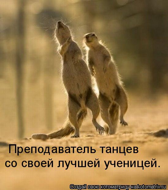 Котоматрица: Преподаватель танцев  со своей лучшей ученицей.